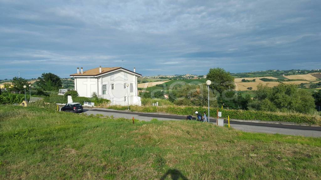 immagine annuncio 2 di 7