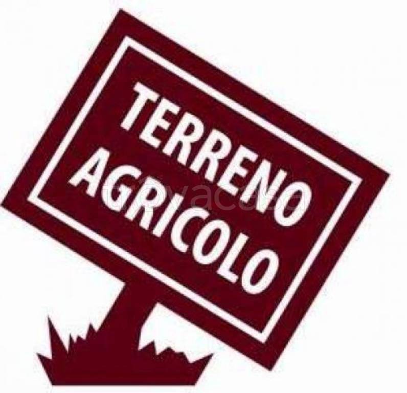 Terreno Agricolo in vendita a Commessaggio via Girolamo Corvi, 4