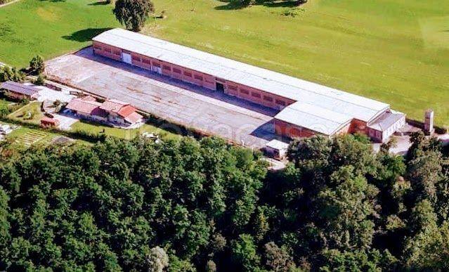 Capannone Industriale in in vendita da privato a Candelo via Isangarda, 56