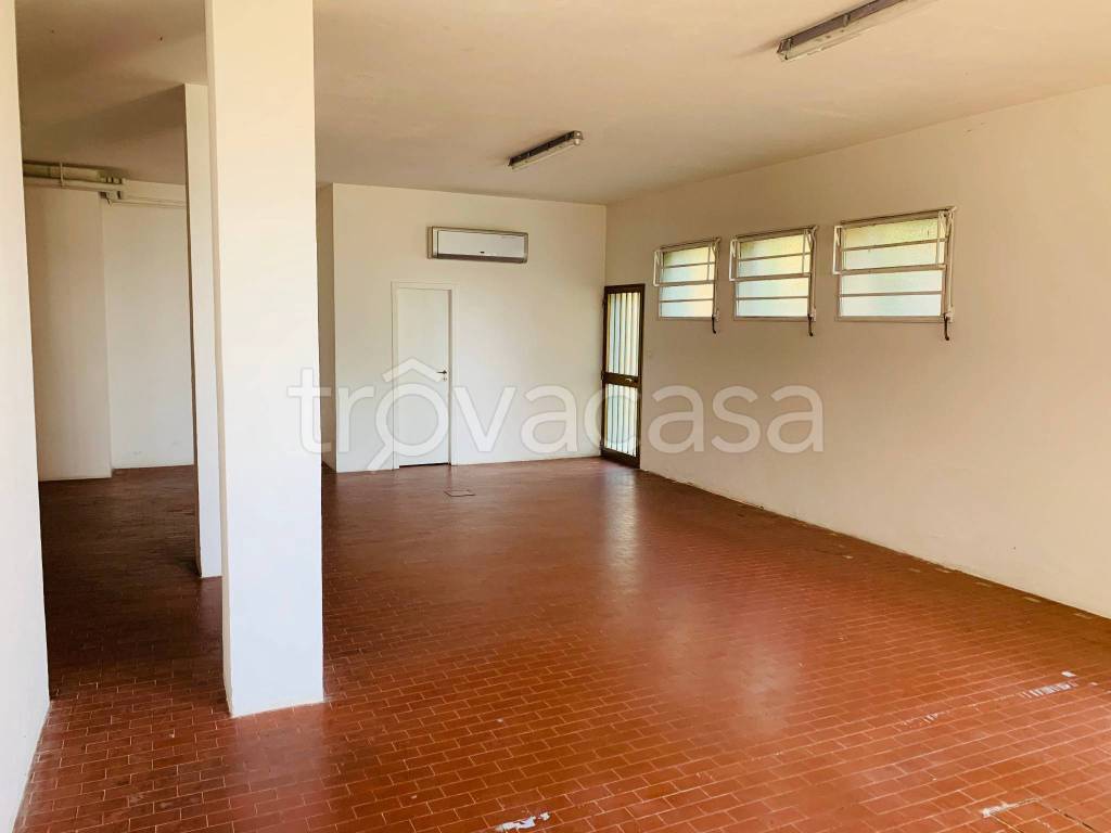 immagine annuncio 4 di 8