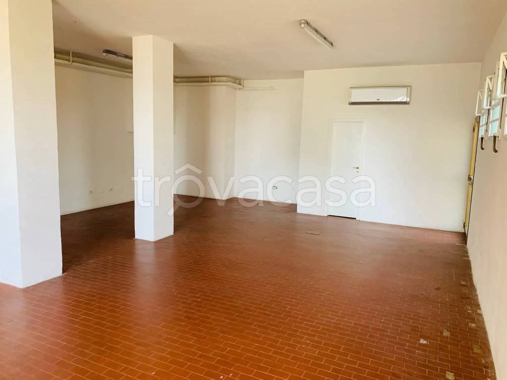 immagine annuncio 5 di 8