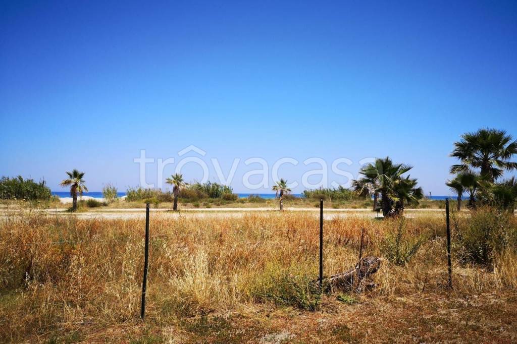 Terreno Residenziale in vendita a Isca sullo Ionio via dei Gelsi