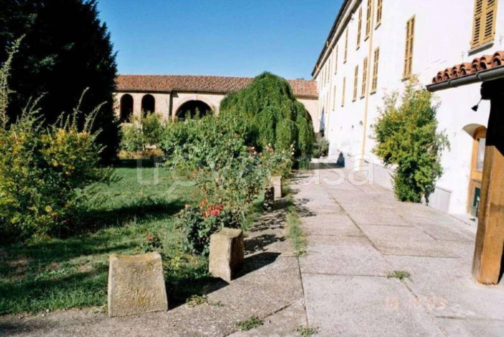 immagine annuncio 3 di 12