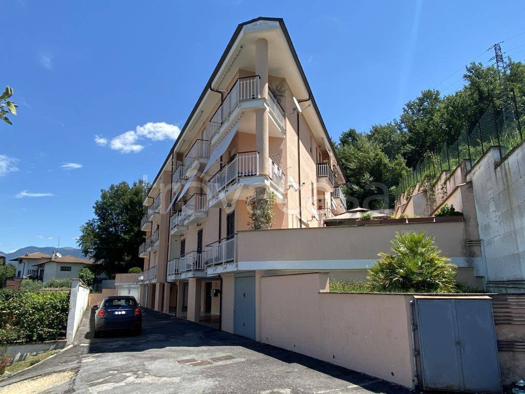 immagine annuncio 3 di 12