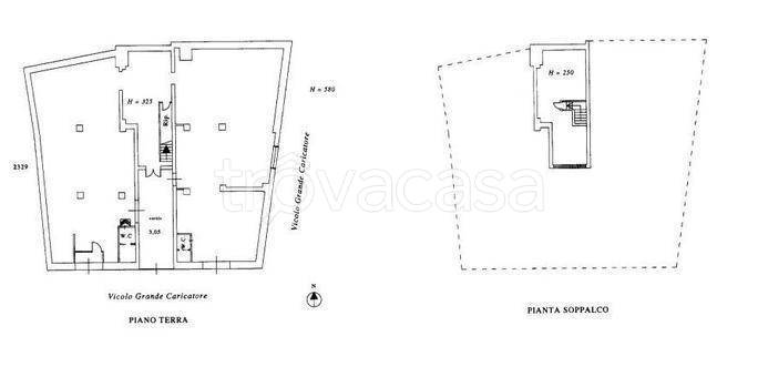 immagine annuncio 12 di 13