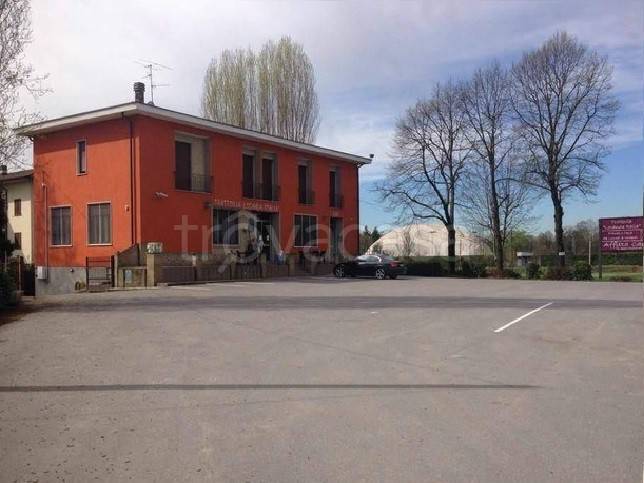 immagine annuncio 11 di 15