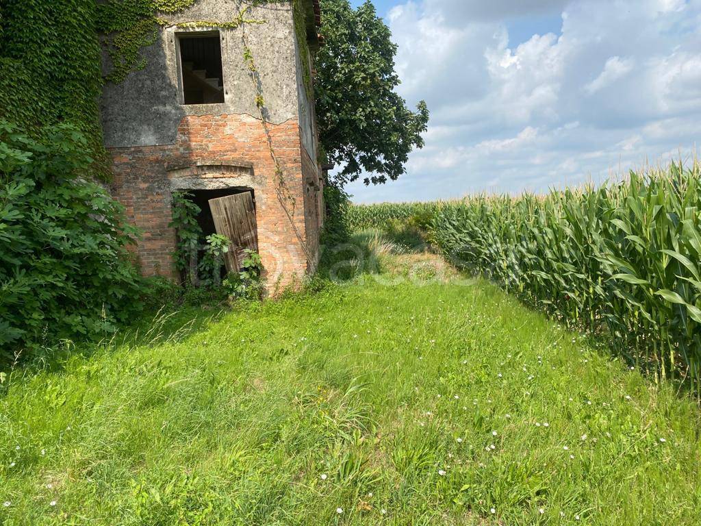 immagine annuncio 10 di 14