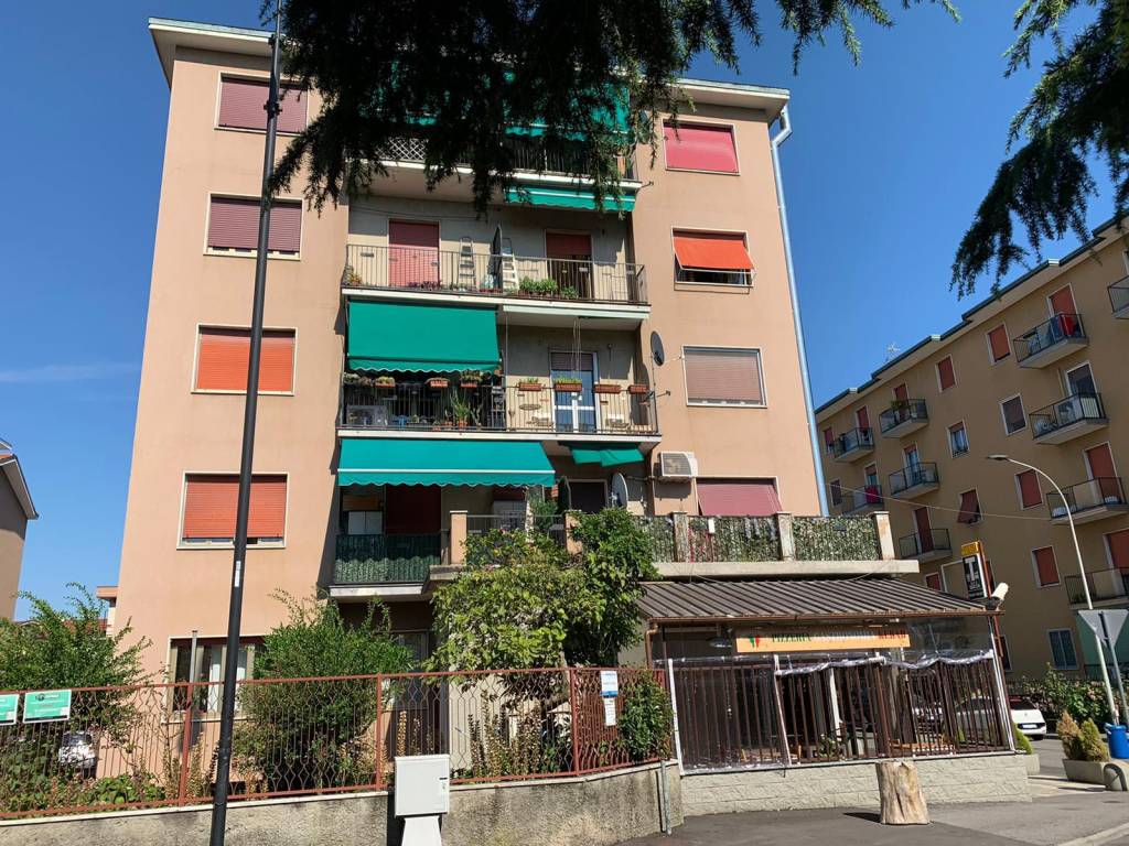 immagine annuncio 2 di 13