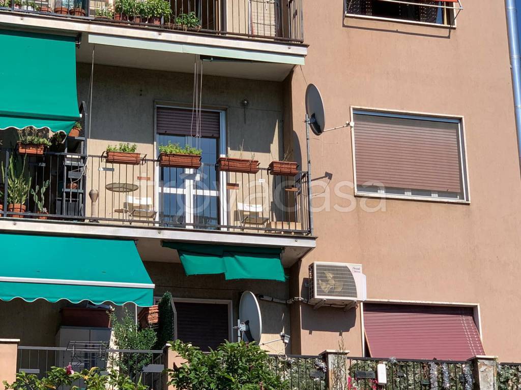 immagine annuncio 5 di 13