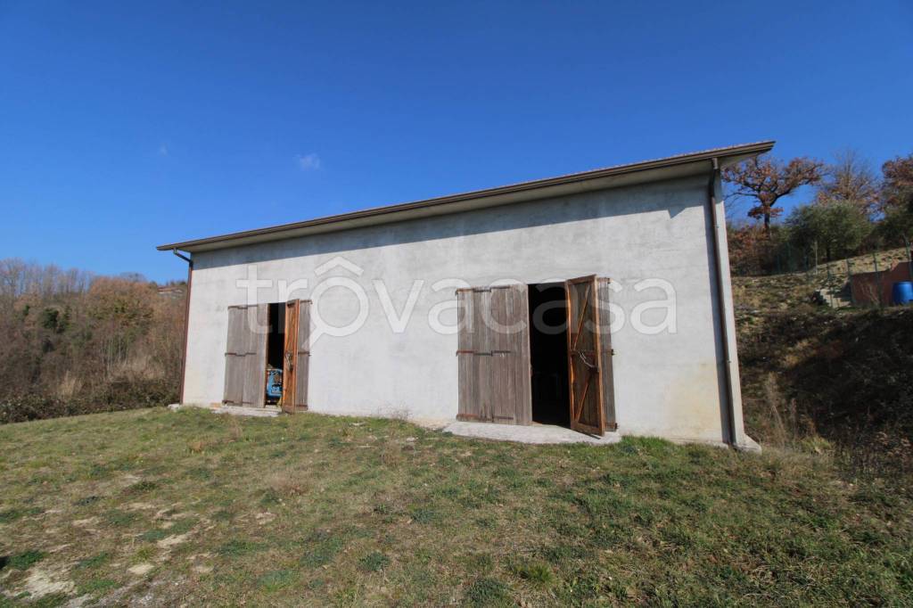 immagine annuncio 2 di 6