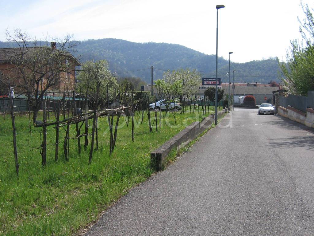 immagine annuncio 1 di 3