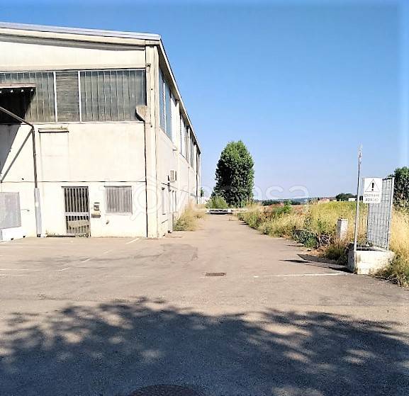 immagine annuncio 2 di 12