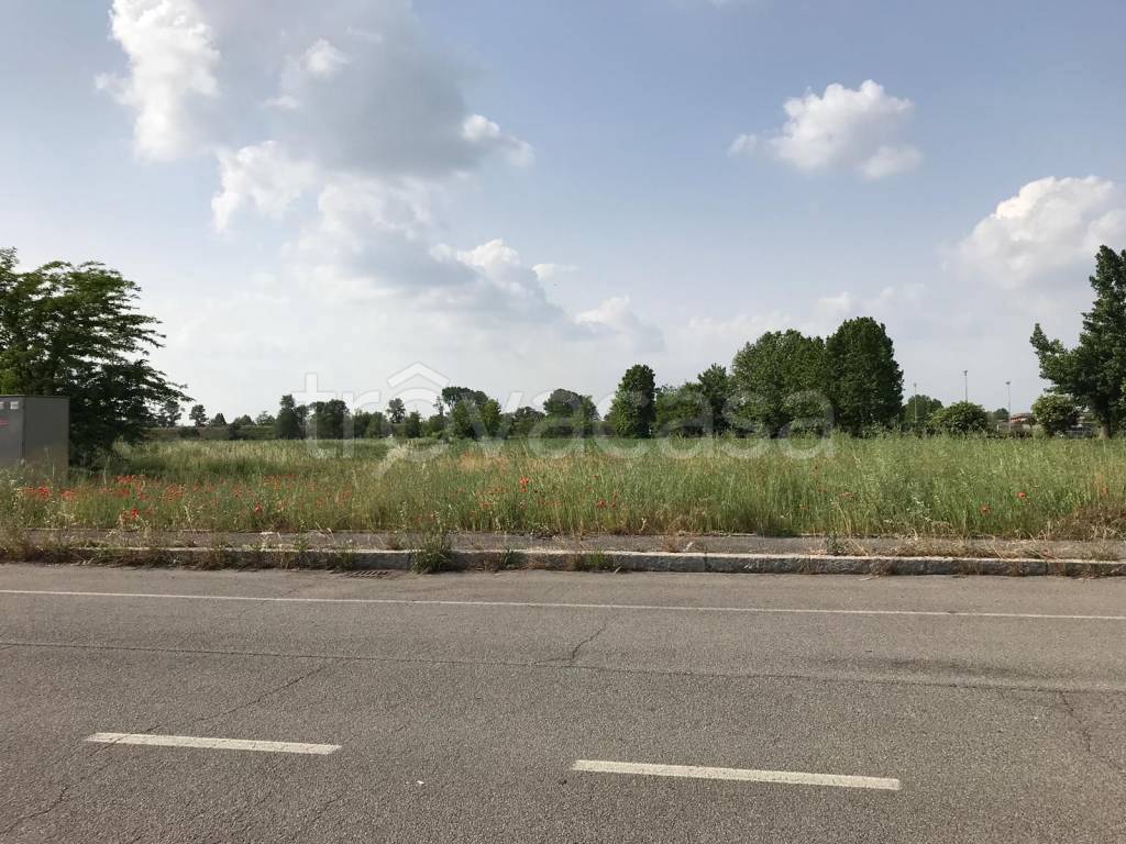 immagine annuncio 1 di 6