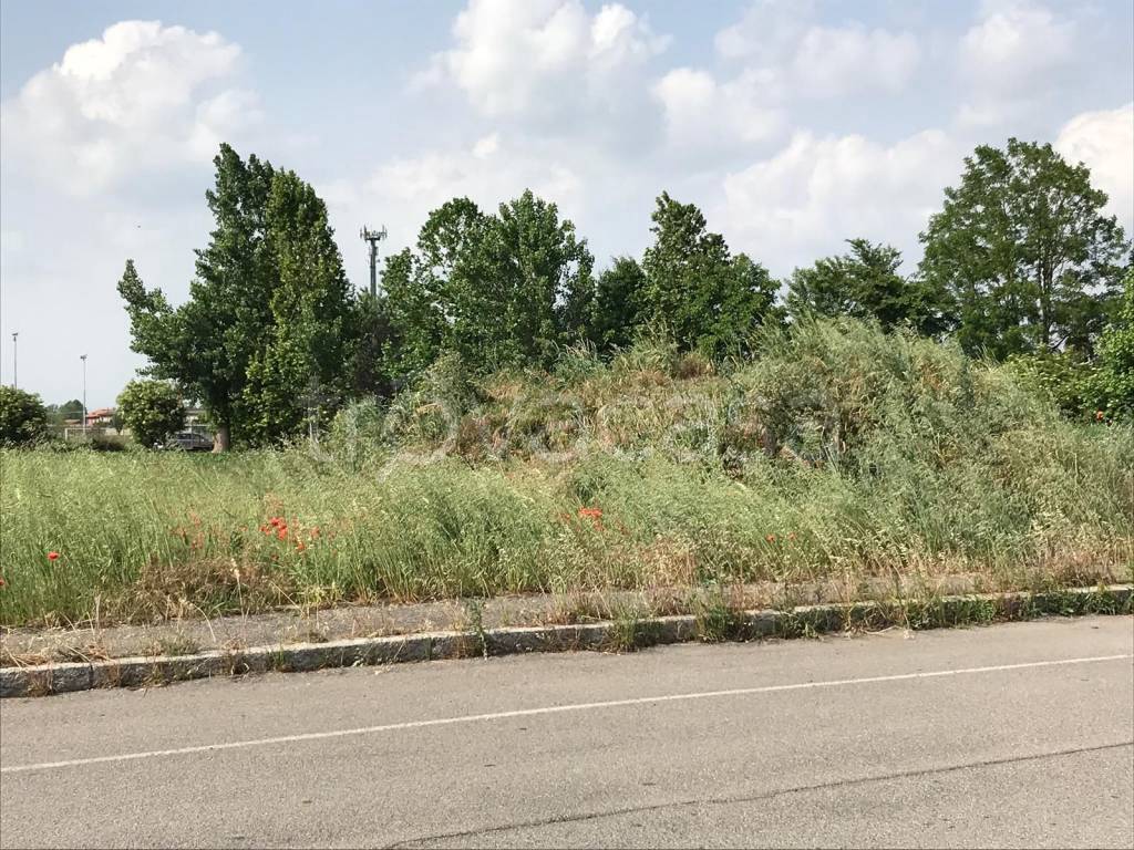 immagine annuncio 3 di 6
