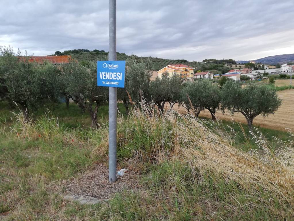 immagine annuncio 4 di 6