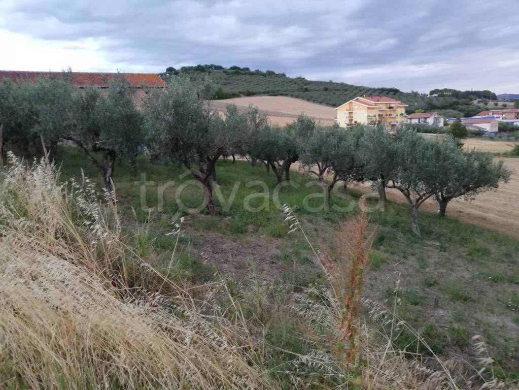immagine annuncio 5 di 6