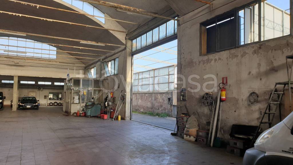 immagine annuncio 9 di 15