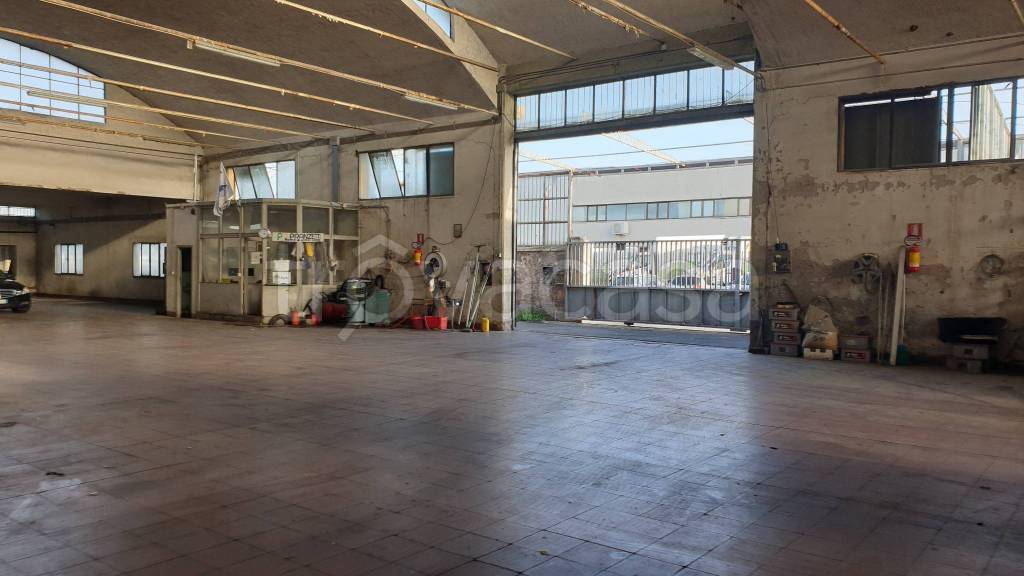 immagine annuncio 10 di 15