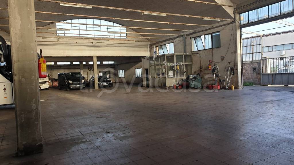 immagine annuncio 11 di 15