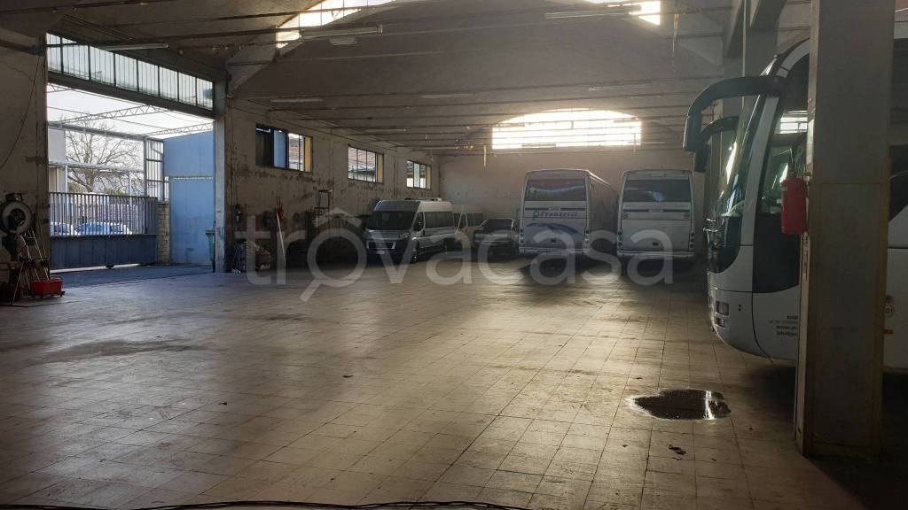 immagine annuncio 13 di 15