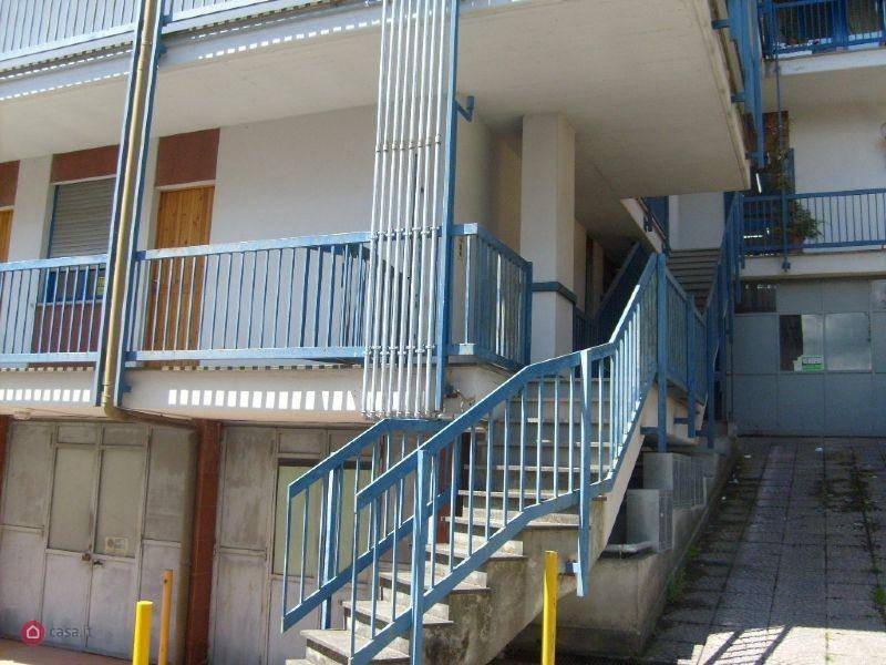 immagine annuncio 1 di 6