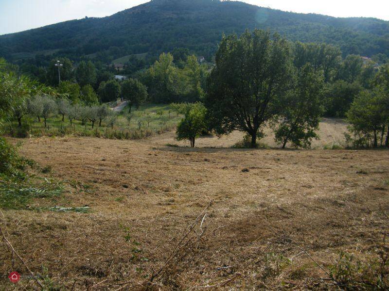 Terreno Agricolo in vendita ad Alatri localita' colle lavena