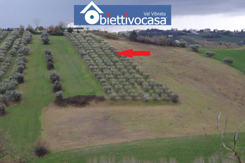 Terreno Agricolo in vendita a Mosciano Sant'Angelo contrada Colle Cerreto