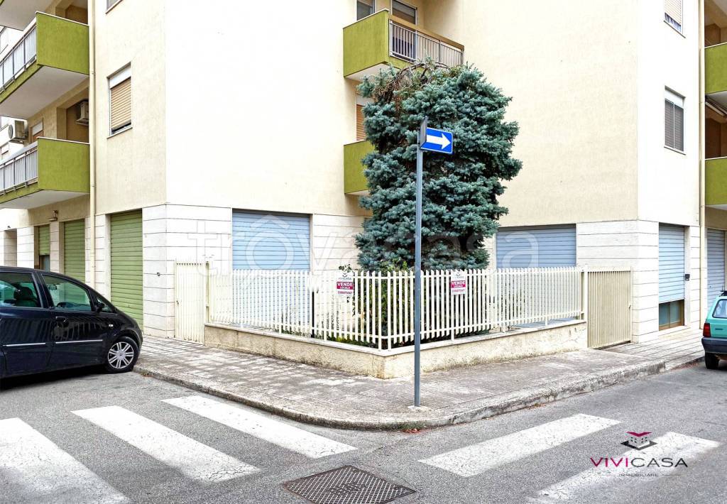 immagine annuncio 4 di 6