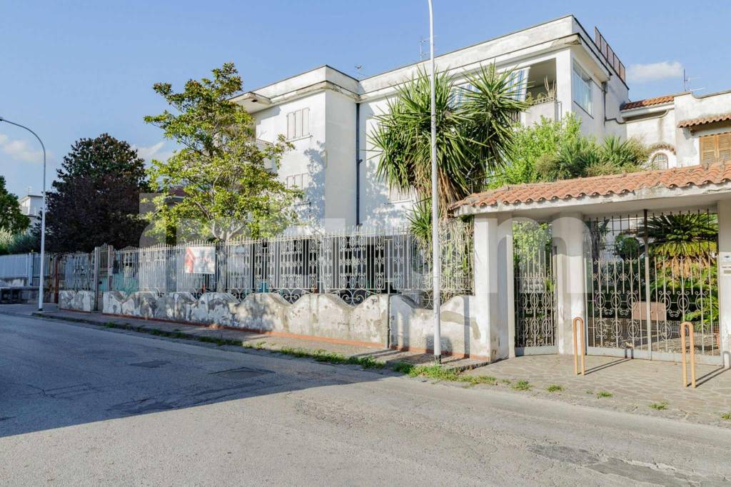 immagine annuncio 7 di 13