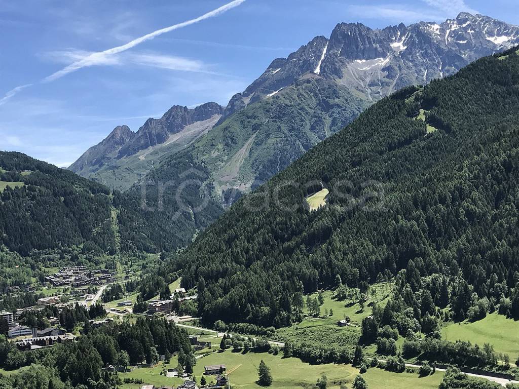 immagine annuncio 5 di 6