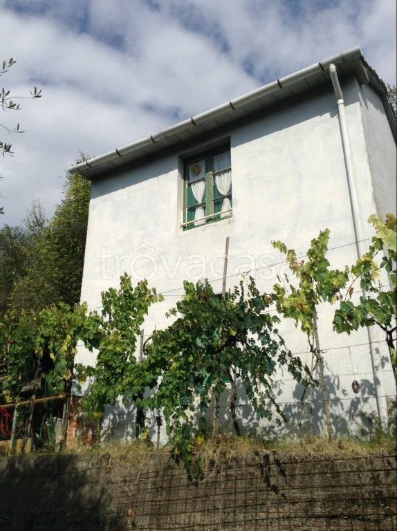 Terreno Residenziale in vendita a Vezzano Ligure via Costa
