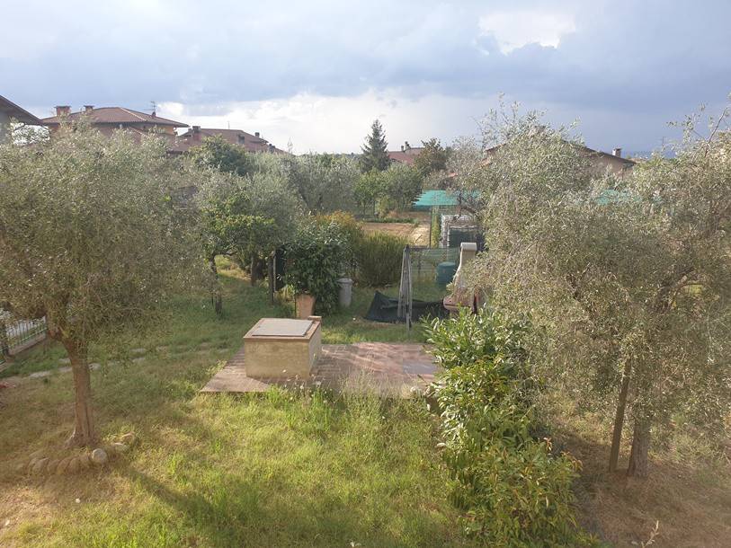 immagine annuncio 5 di 7