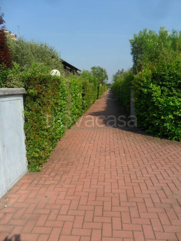 immagine annuncio 9 di 12