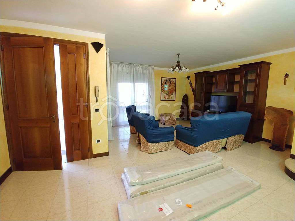 immagine annuncio 1 di 14