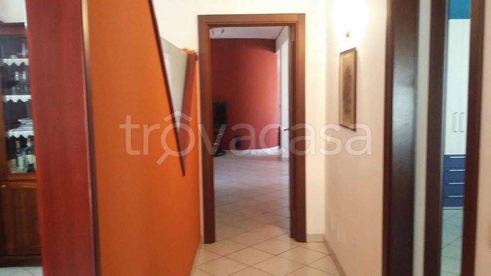 immagine annuncio 6 di 12