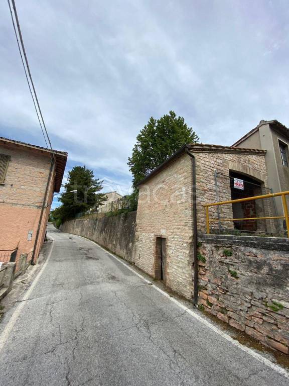 immagine annuncio 12 di 13