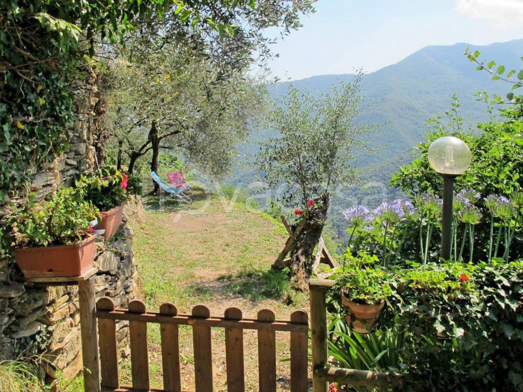 immagine annuncio 7 di 14