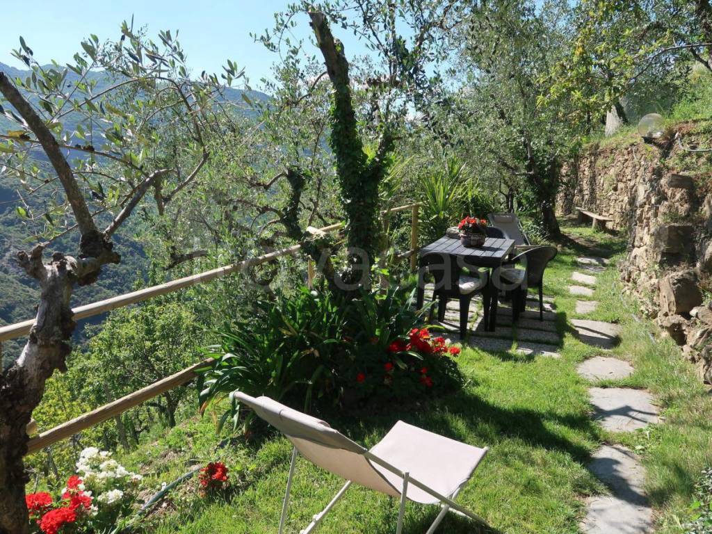 immagine annuncio 6 di 14