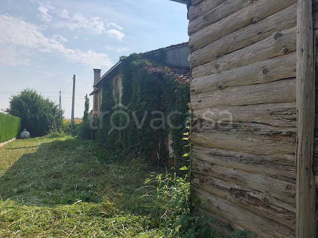 immagine annuncio 3 di 6