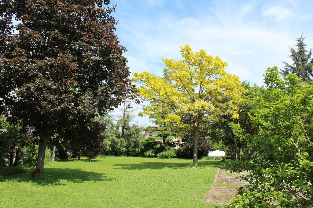 immagine annuncio 2 di 12