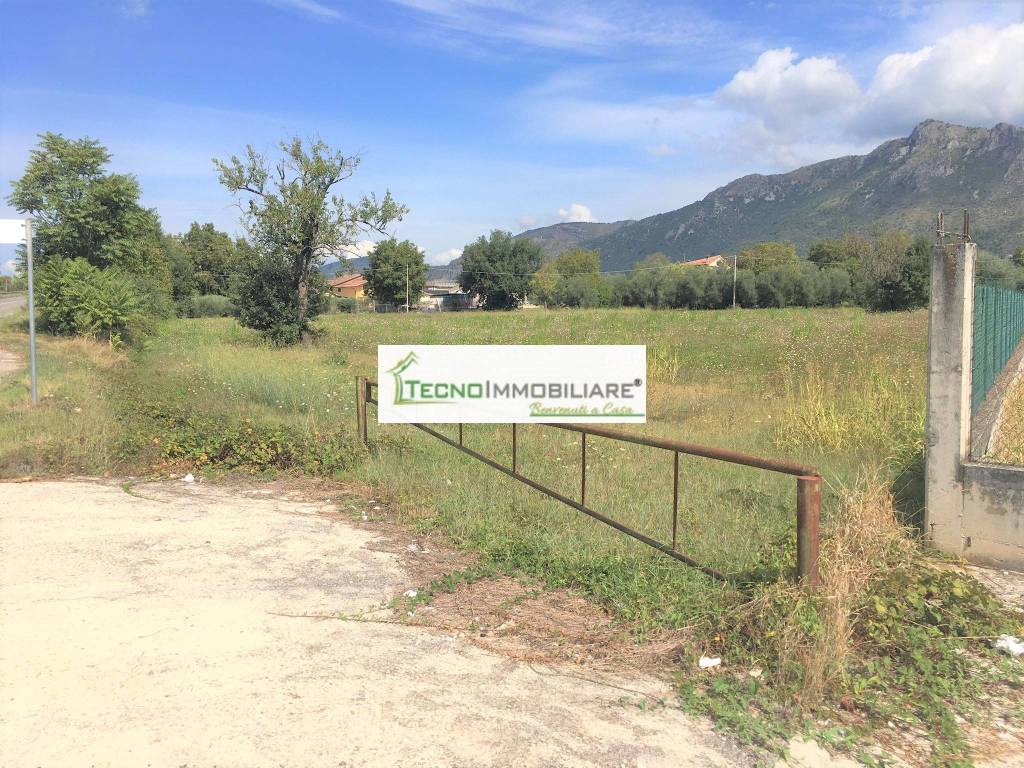 immagine annuncio 1 di 9