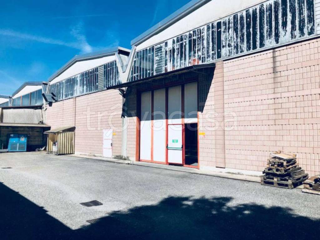 immagine annuncio 7 di 12