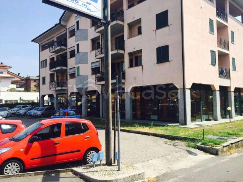 immagine annuncio 3 di 13