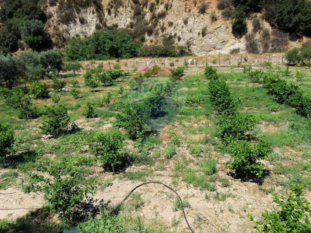 Terreno Agricolo in vendita a Corigliano-Rossano c.Da Armeni