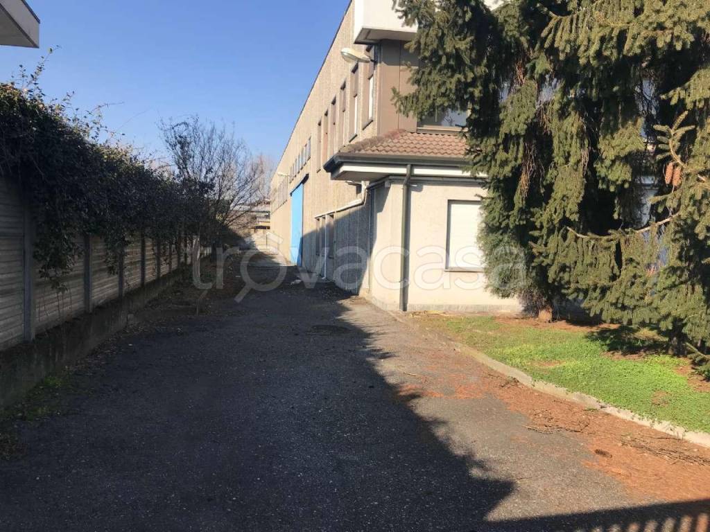 immagine annuncio 1 di 15