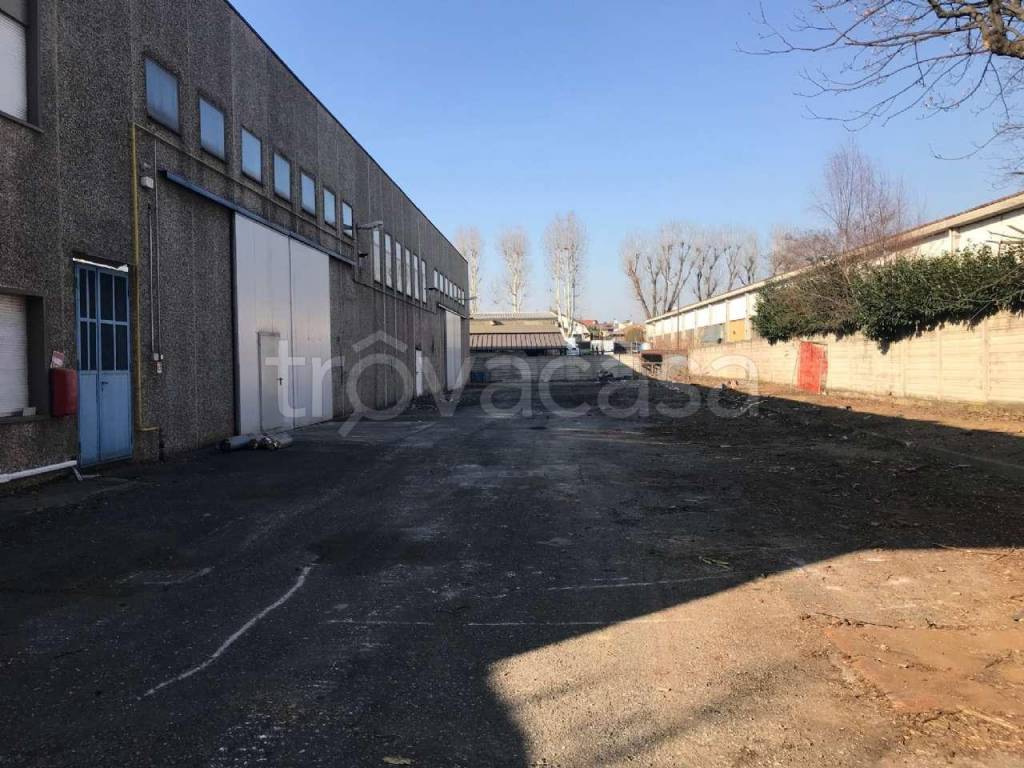 immagine annuncio 5 di 15