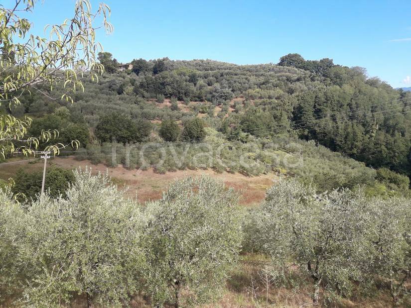 Terreno Agricolo in vendita a Serravalle Pistoiese via Baco, 16