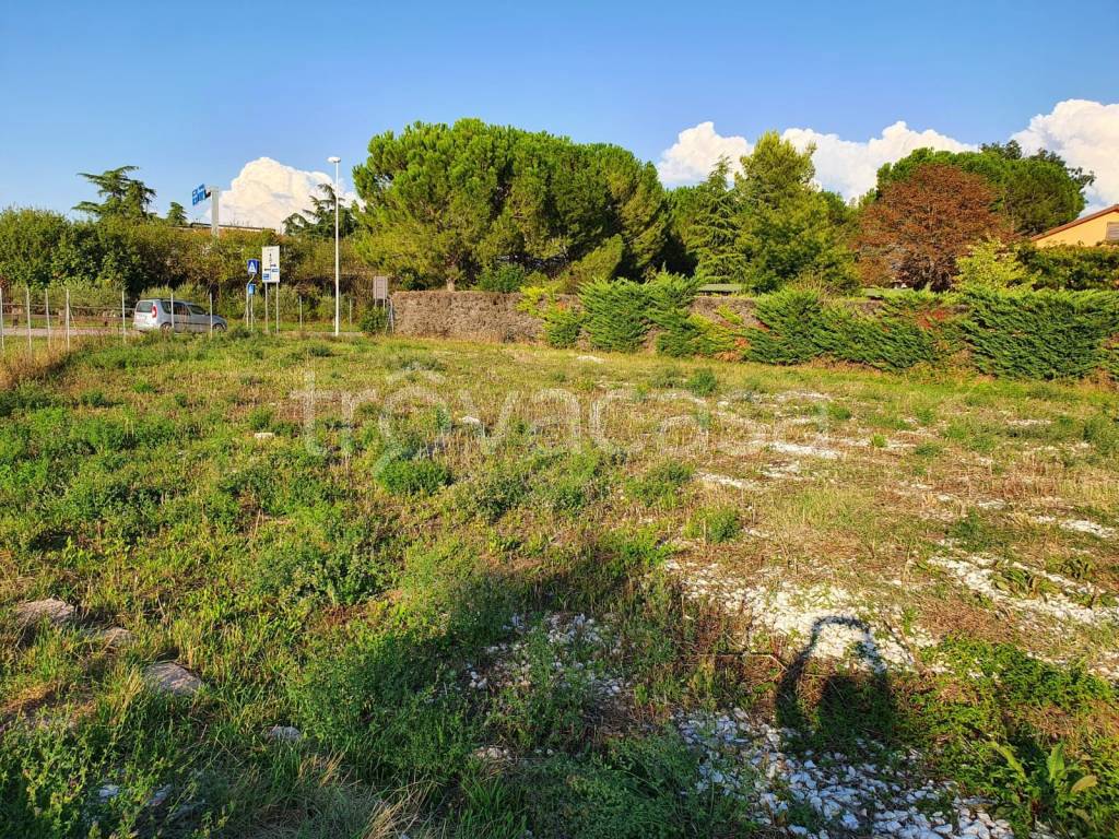 immagine annuncio 2 di 4