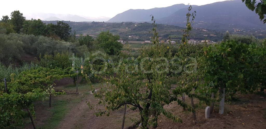 Terreno Agricolo in vendita a Sant'Agata de' Goti via Pennino
