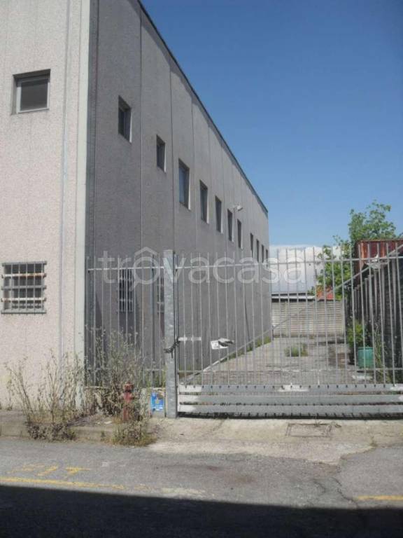 immagine annuncio 1 di 7